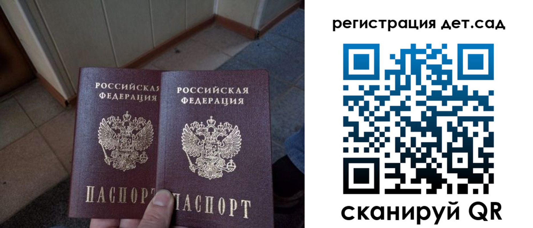 прописка 2025 в Светогорске
